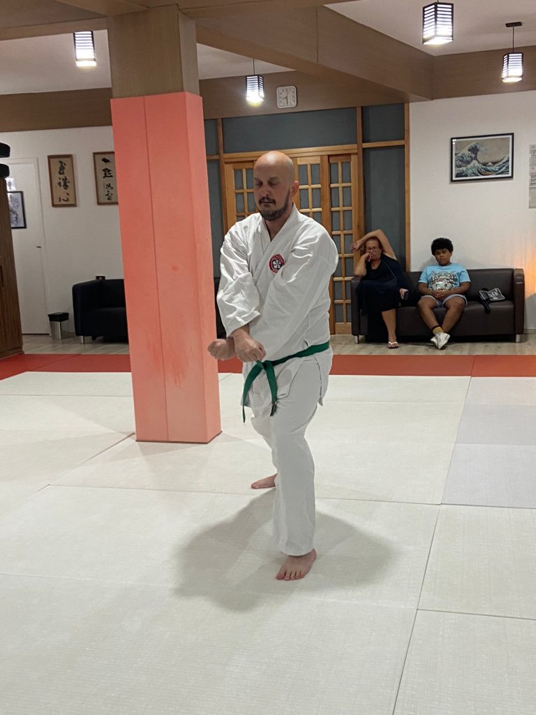 Aula de Karate Shotokan - Renbukan Brasil - Escola de Artes Marciais Japonesas - Cotia - São Paulo - Sensei Francisco Santiago (26)