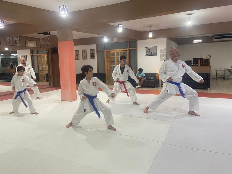 Aula de Karate Shotokan - Renbukan Brasil - Escola de Artes Marciais Japonesas - Cotia - São Paulo - Sensei Francisco Santiago (27)