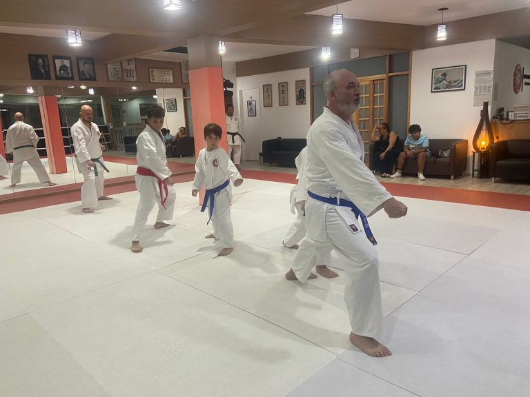 Aula de Karate Shotokan - Renbukan Brasil - Escola de Artes Marciais Japonesas - Cotia - São Paulo - Sensei Francisco Santiago (28)