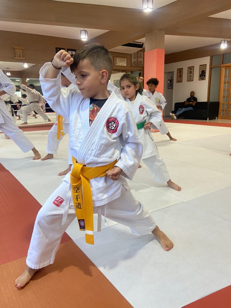 Aula de Karate Shotokan - Renbukan Brasil - Escola de Artes Marciais Japonesas - Cotia - São Paulo - Sensei Francisco Santiago (30)