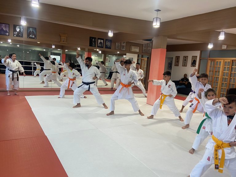 Aula de Karate Shotokan - Renbukan Brasil - Escola de Artes Marciais Japonesas - Cotia - São Paulo - Sensei Francisco Santiago (31)
