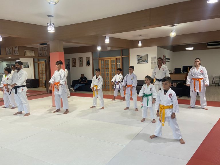 Aula de Karate Shotokan - Renbukan Brasil - Escola de Artes Marciais Japonesas - Cotia - São Paulo - Sensei Francisco Santiago (32)