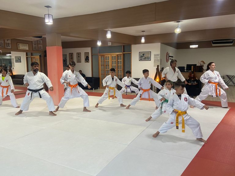 Aula de Karate Shotokan - Renbukan Brasil - Escola de Artes Marciais Japonesas - Cotia - São Paulo - Sensei Francisco Santiago (33)