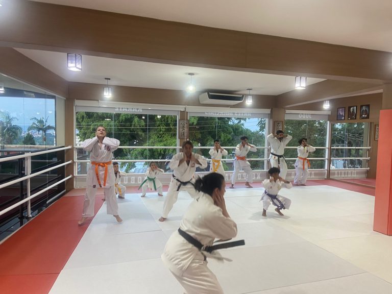 Aula de Karate Shotokan - Renbukan Brasil - Escola de Artes Marciais Japonesas - Cotia - São Paulo - Sensei Francisco Santiago (35)