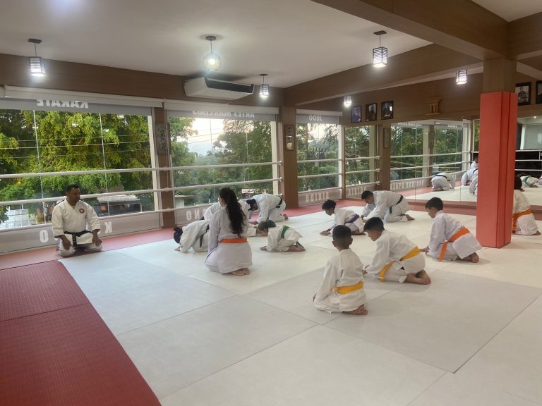 Aula de Karate Shotokan - Renbukan Brasil - Escola de Artes Marciais Japonesas - Cotia - São Paulo - Sensei Francisco Santiago (36)