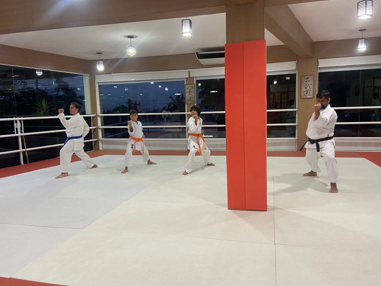 Aula de Karate Shotokan - Renbukan Brasil - Escola de Artes Marciais Japonesas - Cotia - São Paulo - Sensei Francisco Santiago (40)