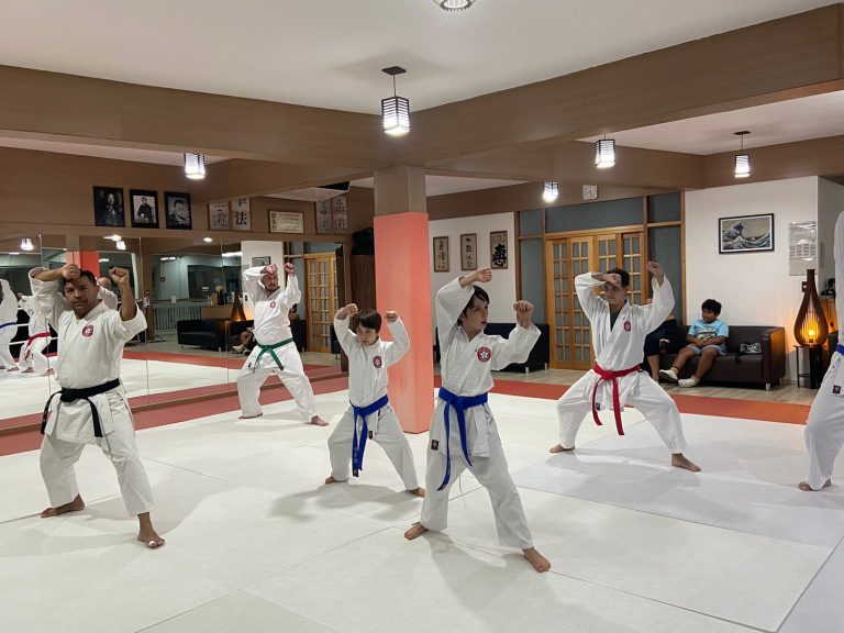 Aula de Karate Shotokan - Renbukan Brasil - Escola de Artes Marciais Japonesas - Cotia - São Paulo - Sensei Francisco Santiago (5)