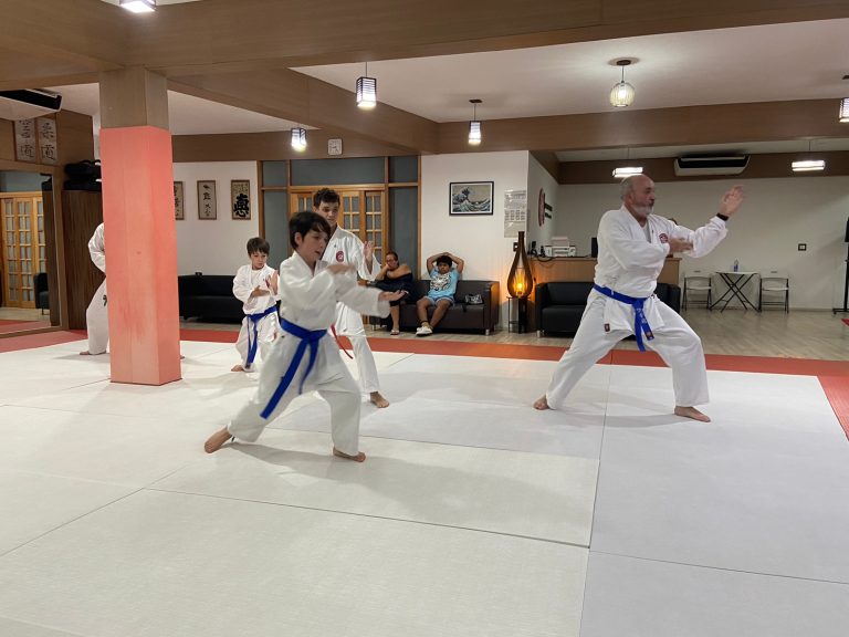 Aula de Karate Shotokan - Renbukan Brasil - Escola de Artes Marciais Japonesas - Cotia - São Paulo - Sensei Francisco Santiago (6)