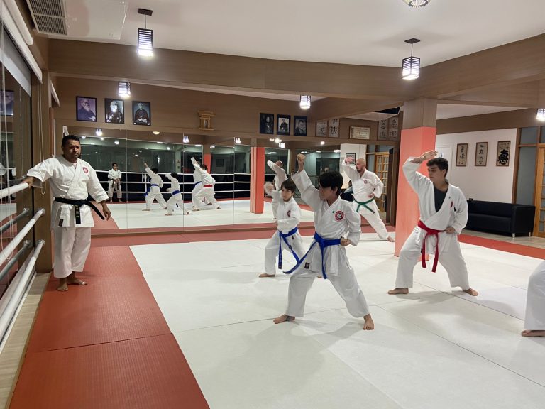 Aula de Karate Shotokan - Renbukan Brasil - Escola de Artes Marciais Japonesas - Cotia - São Paulo - Sensei Francisco Santiago (8)