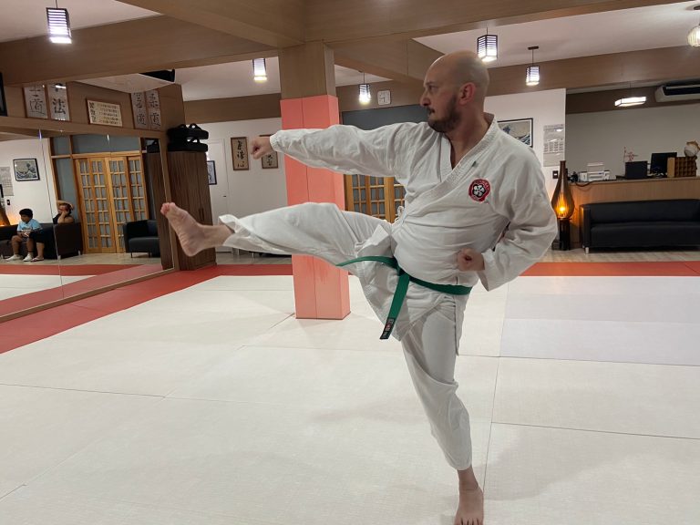 Aula de Karate Shotokan - Renbukan Brasil - Escola de Artes Marciais Japonesas - Cotia - São Paulo - Sensei Francisco Santiago (9)