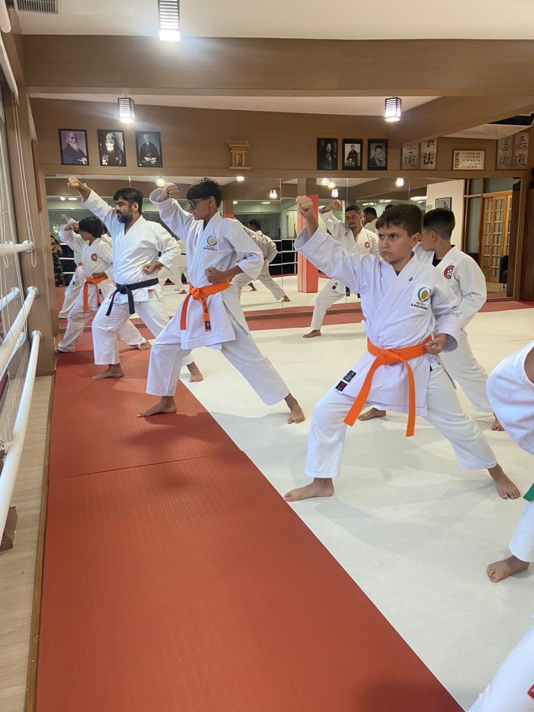 Aula de Karate Shotokan - Renbukan Brasil - Escola de Artes Marciais Japonesas - Cotia - São Paulo - Sensei Francisco Santiago - Arthur Duarte