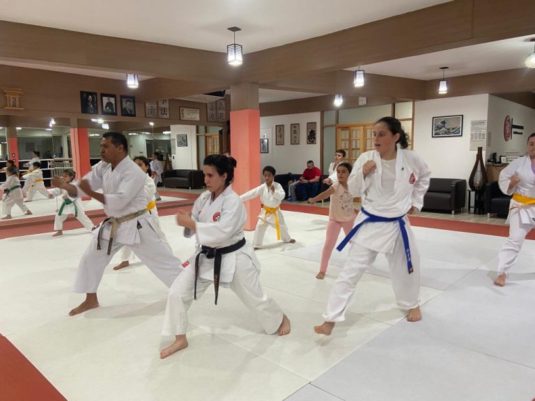 Aula de Karate Shotokan - Renbukan Brasil - Escola de Artes Marciais Japonesas - Cotia - São Paulo - Sensei Francisco Santiago -Barbara Belafronte - Fiorella Boanguro (23)