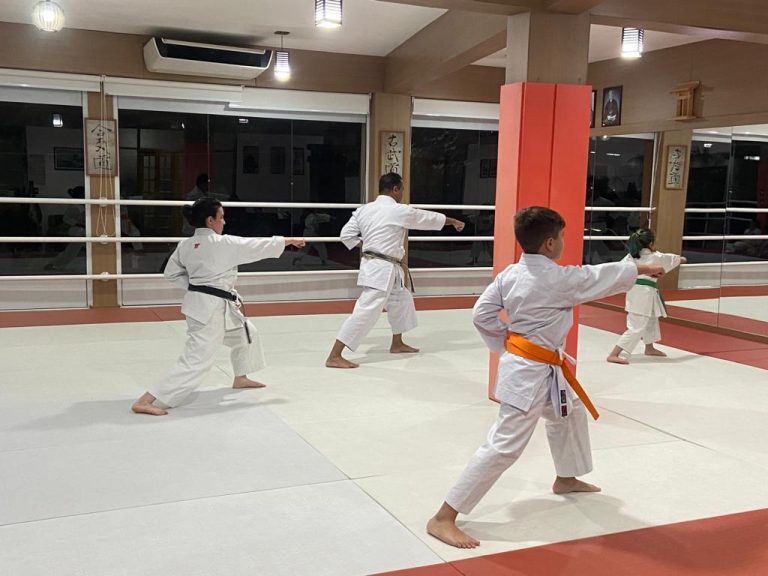 Aula de Karate Shotokan - Renbukan Brasil - Escola de Artes Marciais Japonesas - Cotia - São Paulo - Sensei Francisco Santiago - Barbara Belafronte - Fiorella Boanguro