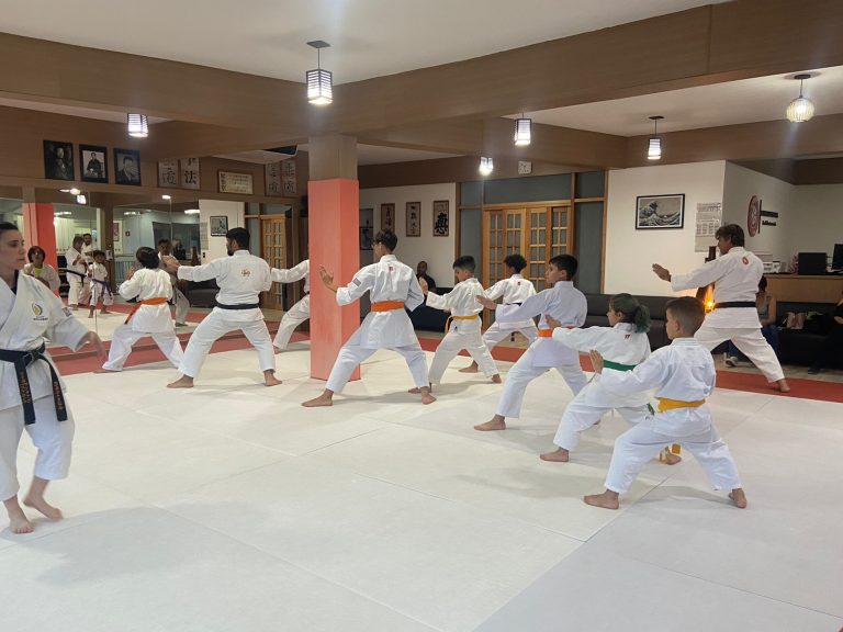 Aula de Karate Shotokan - Renbukan Brasil - Escola de Artes Marciais Japonesas - Cotia - São Paulo - Sensei Francisco Santiago - Barbara Belafronte - Fiorella Boanguro - Yago seto