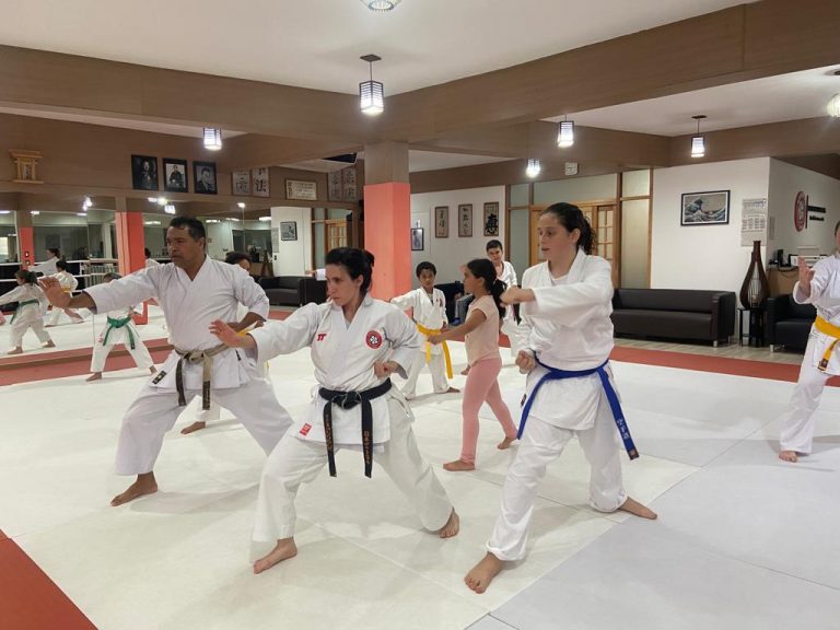 Aula de Karate Shotokan - Renbukan Brasil - Escola de Artes Marciais Japonesas - Cotia - São Paulo - Sensei Francisco Santiago - Fiorella Boanguro - Barbara Belafronte (2)