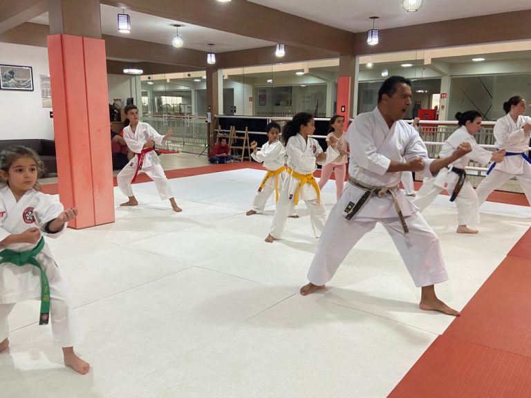 Aula de Karate Shotokan - Renbukan Brasil - Escola de Artes Marciais Japonesas - Cotia - São Paulo - Sensei Francisco Santiago - Fiorella Boanguro - Barbara Belafronte (3)