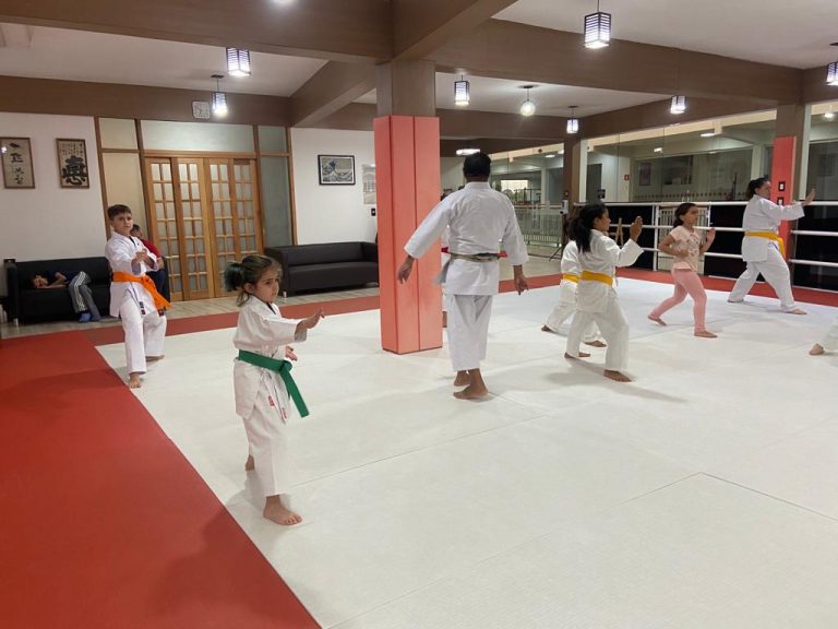 Aula de Karate Shotokan - Renbukan Brasil - Escola de Artes Marciais Japonesas - Cotia - São Paulo - Sensei Francisco Santiago - Fiorella Boanguro - Barbara Belafronte