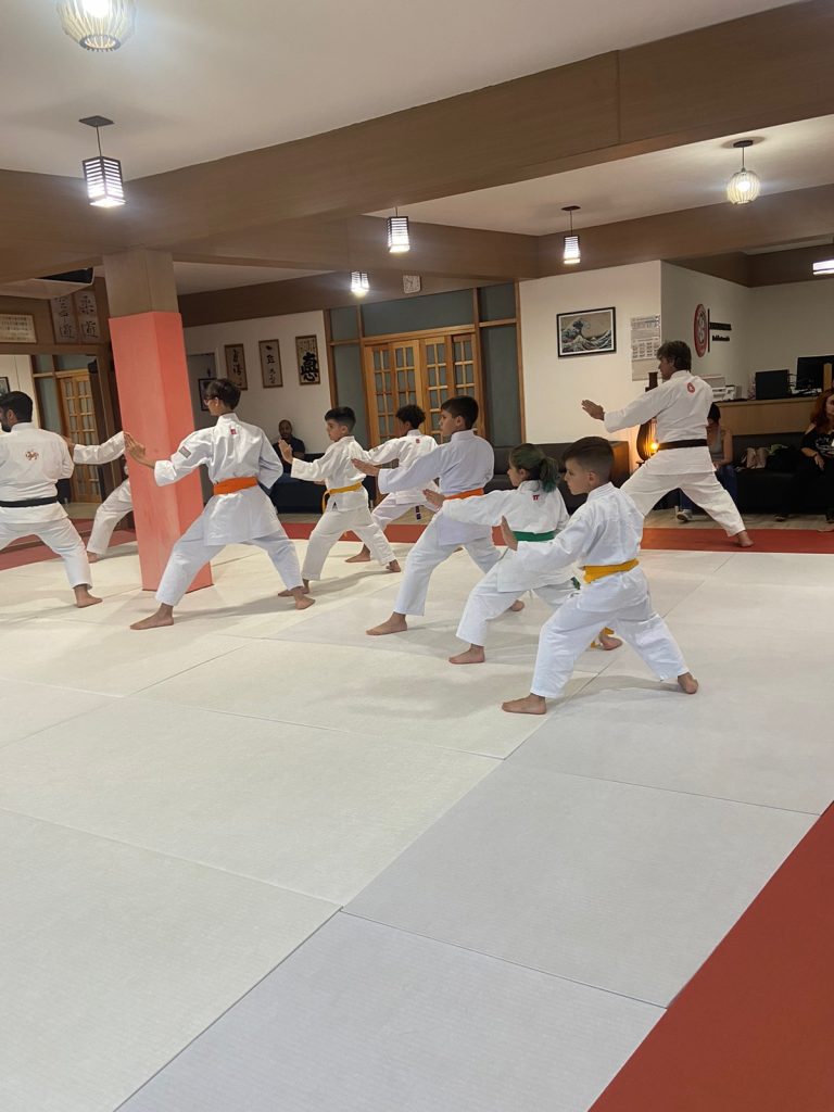 Aula de Karate Shotokan - Renbukan Brasil - Escola de Artes Marciais Japonesas - Cotia - São Paulo - Sensei Francisco Santiago - Fiorella Bonaguro (29)