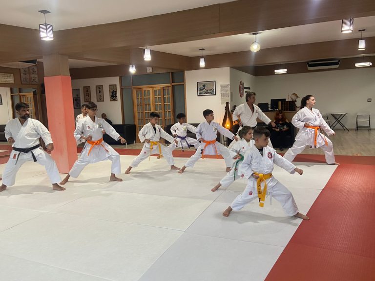 Aula de Karate Shotokan - Renbukan Brasil - Escola de Artes Marciais Japonesas - Cotia - São Paulo - Sensei Francisco Santiago - Roberto nascimento - Fiorella Bonaguro