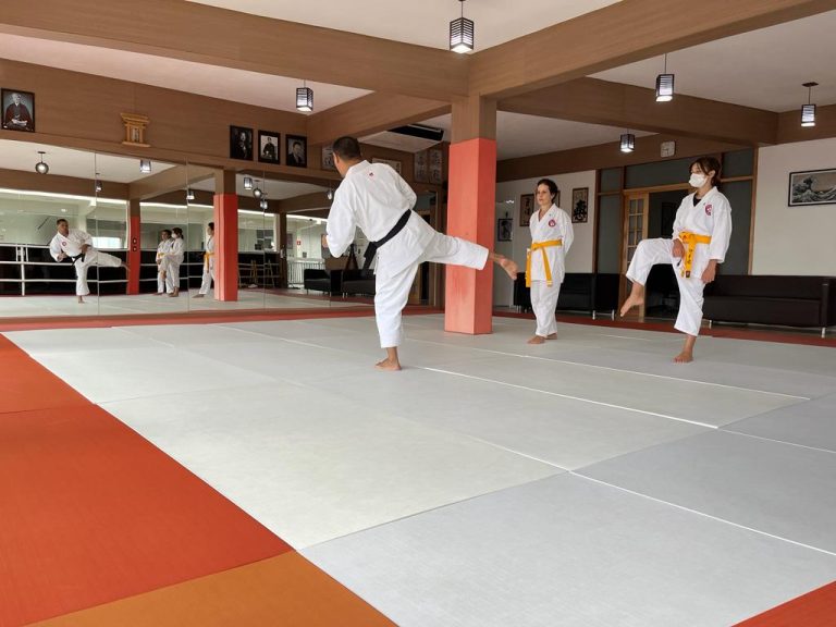 Karate Feminino - Renbukan Brasil - Escola de Artes Marciais - Cotia - São Paulo - Sensei Francisco Santiago