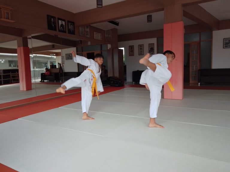 Aula de Karate Infantil com Sensei Roberto Nascimento - Renbukan Brasil - Cotia - São Paulo