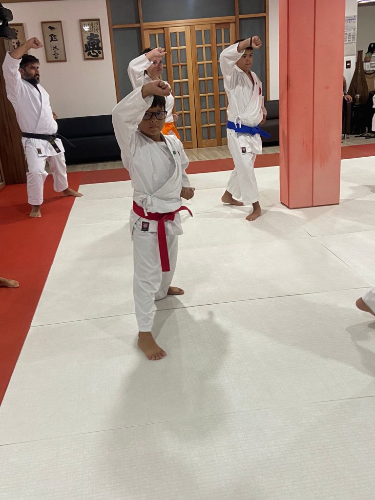 Aula de Karate Shotokan - Sensei Francisco Santiago - Renbukan Brasil - Escola de Artes Marciais Japonesas - Cotia - São Paulo (6)
