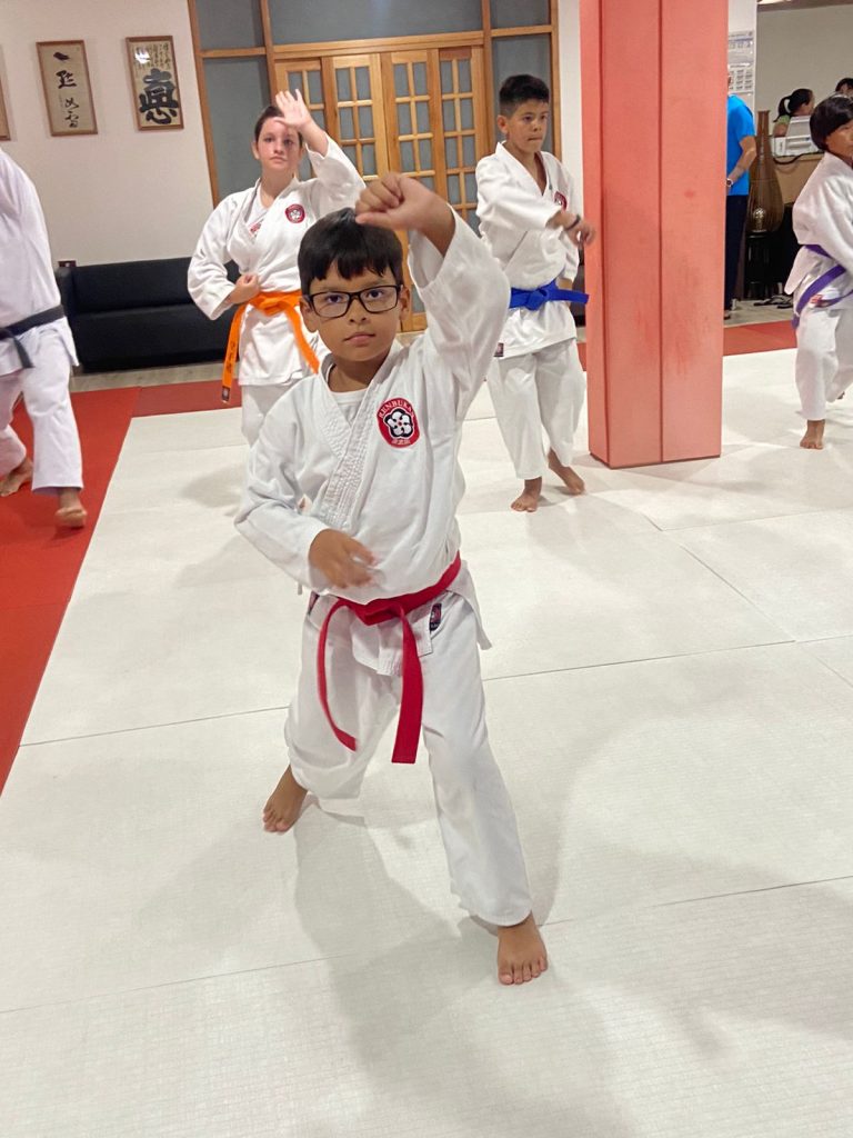Aula de Karate Shotokan - Sensei Francisco Santiago - Renbukan Brasil - Escola de Artes Marciais Japonesas - Cotia - São Paulo (7)