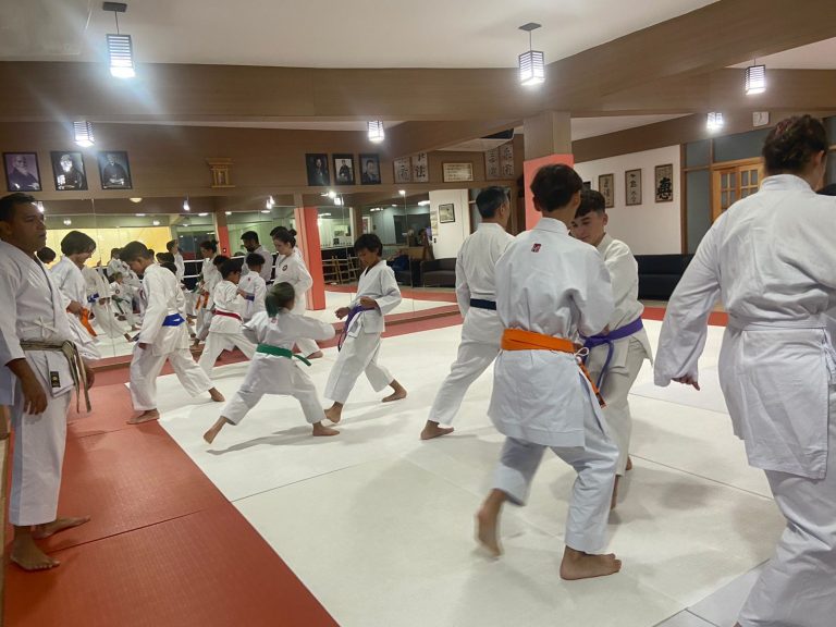 Aula de Karate Shotokan - Sensei Francisco Santiago - Renbukan Brasil - Escola de Artes Marciais Japonesas - Cotia - São Paulo - Fiorella Boanguro - yago Seto
