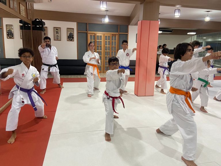 Aula de Karate Shotokan - Sensei Francisco Santiago - Renbukan Brasil - Escola de Artes Marciais Japonesas - Cotia - São Paulo - Fiorella Bonaguro - Yago Seto (13)