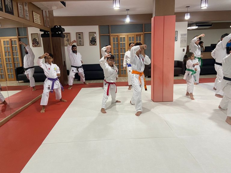 Aula de Karate Shotokan - Sensei Francisco Santiago - Renbukan Brasil - Escola de Artes Marciais Japonesas - Cotia - São Paulo - Fiorella Bonaguro - Yago Seto
