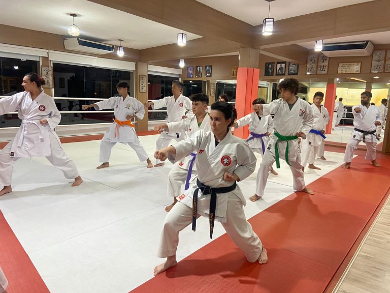 Aula de Karate Shotokan - Sensei Francisco Santiago - Renbukan Brasil - Escola de Artes Marciais Japonesas - Cotia - São Paulo - Sensei Barbara Belafronte (9)