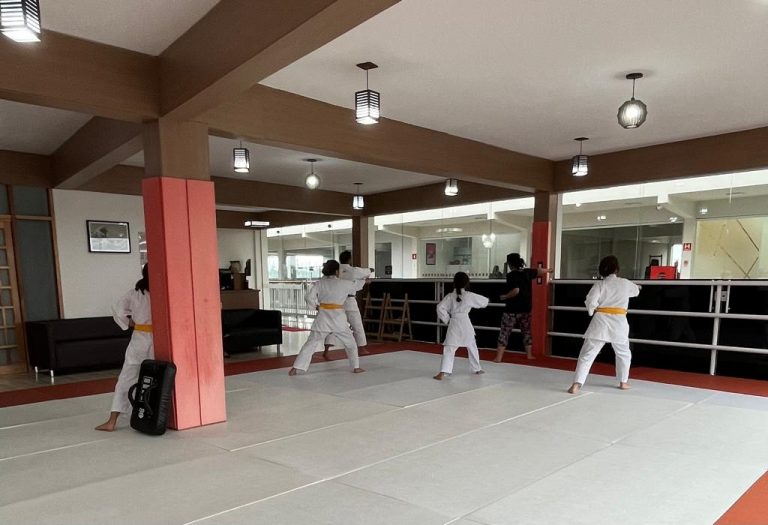 Aula de Karate da turma da tarde - Sensei Francisco Santiago - Renbukan Brasil - Cotia - São Paulo
