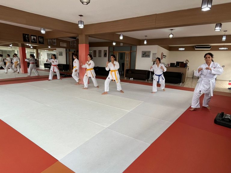 Aulas de Karate Feminino - Cotia - São Paulo - Sensei Francisco Santiago - Defesa Pessoal Feminina - Karate Feminino - Renbukan Brasil - Escola de Artes Marciais Japonesas (11)