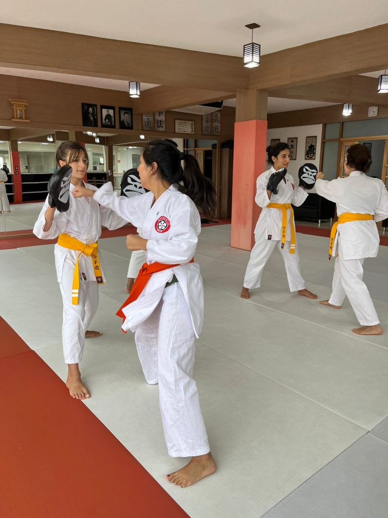 Aulas de Karate Feminino - Cotia - São Paulo - Sensei Francisco Santiago - Defesa Pessoal Feminina - Karate Feminino - Renbukan Brasil - Escola de Artes Marciais Japonesas