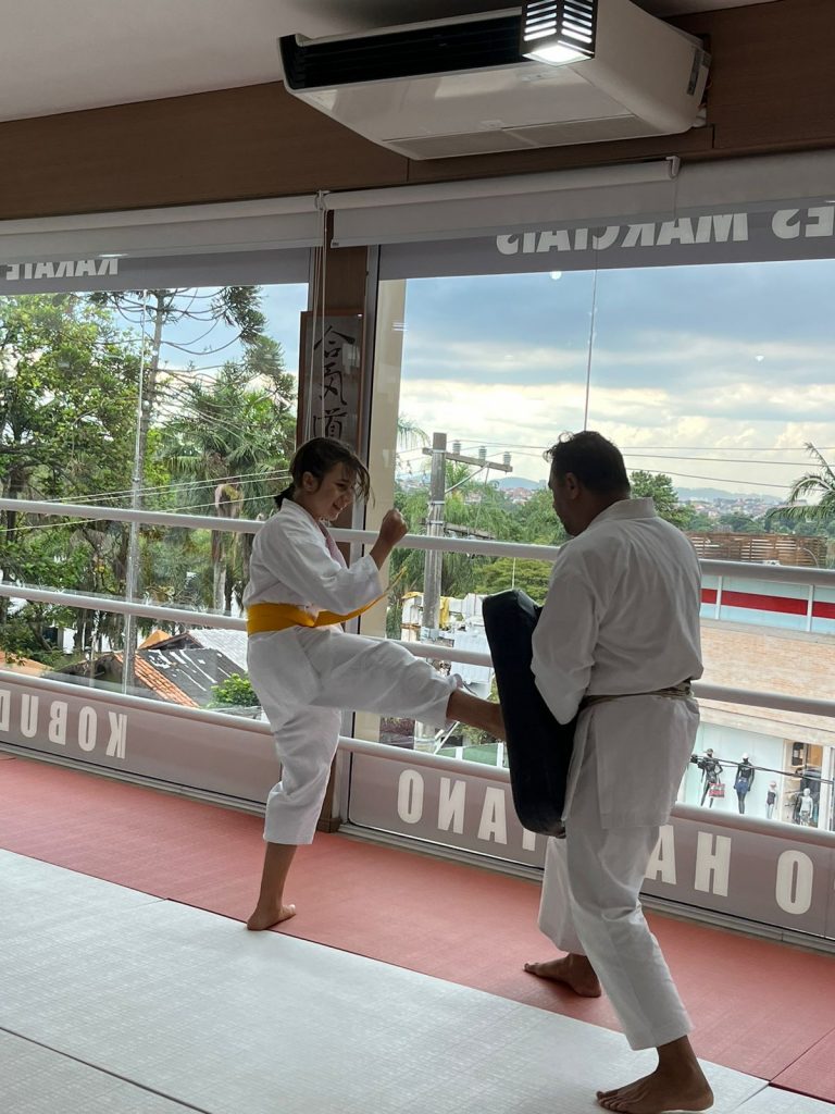 Aulas de Karate Feminino - Cotia - São Paulo - Sensei Francisco Santiago - Defesa Pessoal Feminina - Karate Feminino - Renbukan Brasil - Escola de Artes Marciais Japonesas