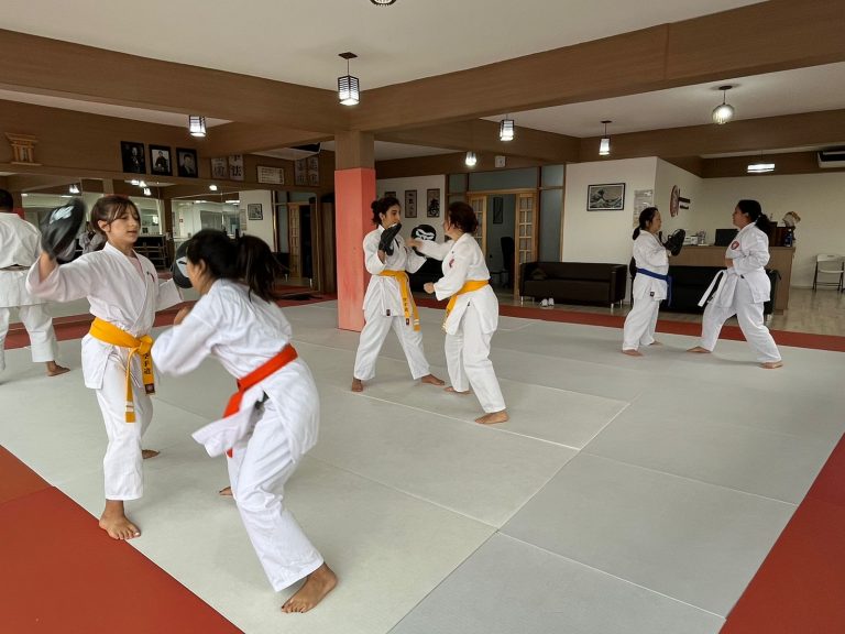 Aulas de Karate Feminino - Cotia - São Paulo - Sensei Francisco Santiago - Defesa Pessoal Feminina - Karate Feminino - Renbukan Brasil - Escola de Artes Marciais Japonesas (4)
