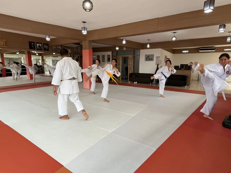 Aulas de Karate Feminino - Cotia - São Paulo - Sensei Francisco Santiago - Defesa Pessoal Feminina - Karate Feminino - Renbukan Brasil - Escola de Artes Marciais Japonesas (5)