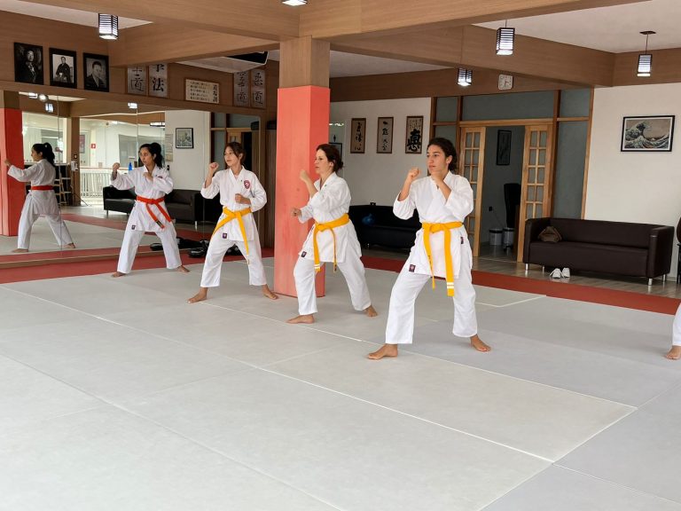 Aulas de Karate Feminino - Cotia - São Paulo - Sensei Francisco Santiago - Defesa Pessoal Feminina - Karate Feminino - Renbukan Brasil - Escola de Artes Marciais Japonesas (9)