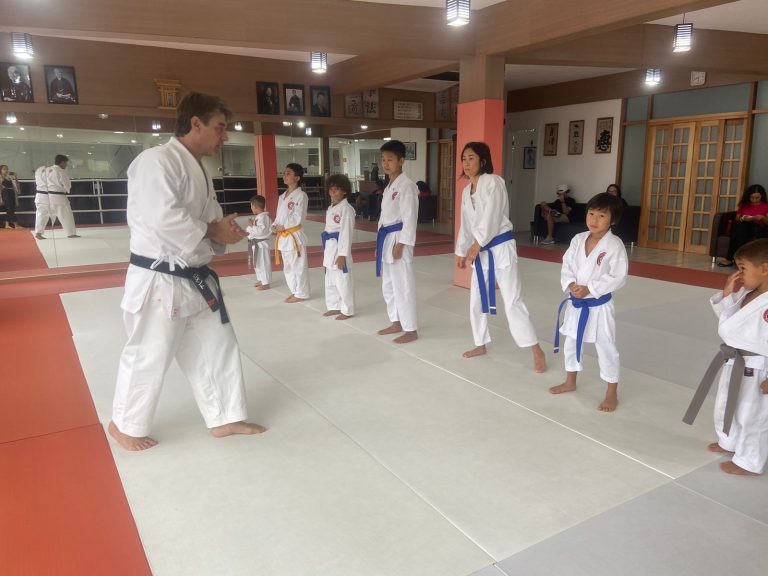 Aulas de Karate Infantil - Renbukan Brasil - Escola de Artes Marciais Japonesas - Sensei Roberto Nascimento - Cotia - São Paulo (4)