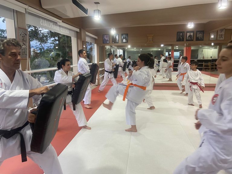 Aulas de Karate Shotokan - Sensei Francisco Santiago - Renbukan Brasil - Escola de artes Marciais Japonesas - Cotia - São Paulo - Arthur Duarte - Barbara Belafronte - Roberto Nascimento