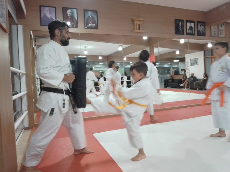 Aulas de Karate Shotokan - Sensei Francisco Santiago - Renbukan Brasil - Escola de artes Marciais Japonesas - Cotia - São Paulo - Defesa Pessoal - (11)