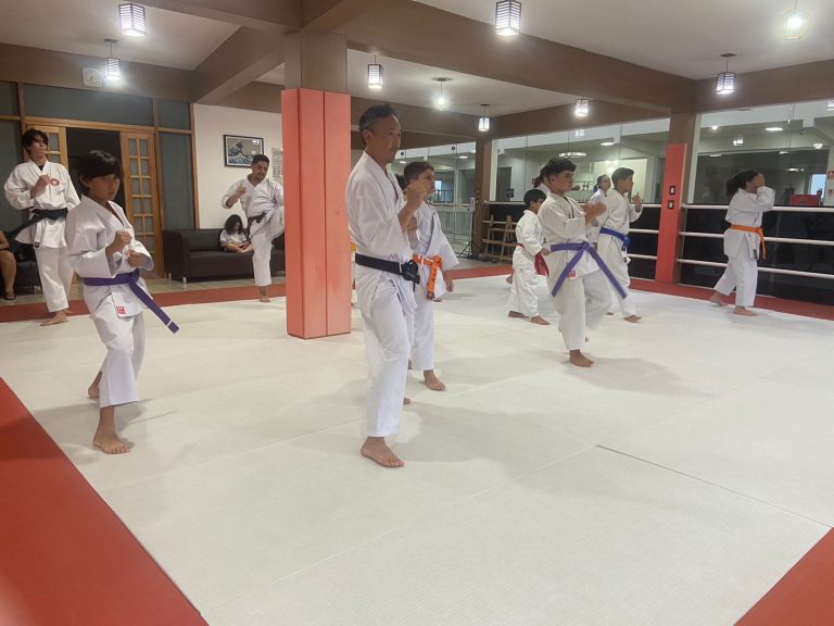 Aulas de Karate Shotokan - Sensei Francisco Santiago - Renbukan Brasil - Escola de artes Marciais Japonesas - Cotia - São Paulo - Defesa Pessoal - (18)