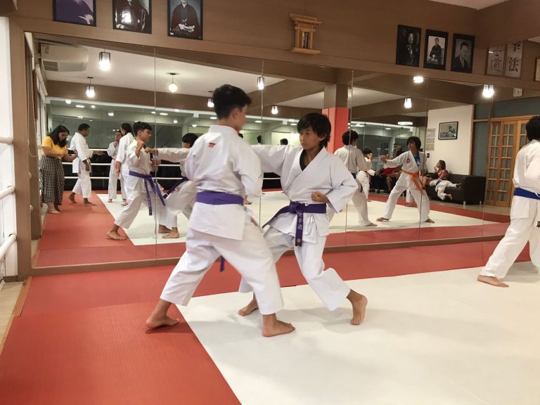 Aulas de Karate Shotokan - Sensei Francisco Santiago - Renbukan Brasil - Escola de artes Marciais Japonesas - Cotia - São Paulo - Defesa Pessoal - (26)