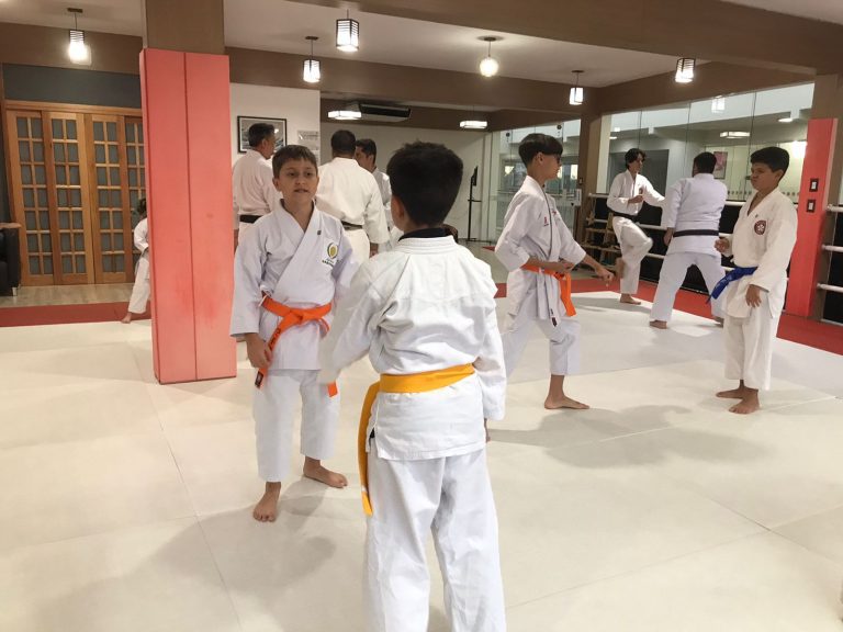 Aulas de Karate Shotokan - Sensei Francisco Santiago - Renbukan Brasil - Escola de artes Marciais Japonesas - Cotia - São Paulo - Defesa Pessoal - (27)