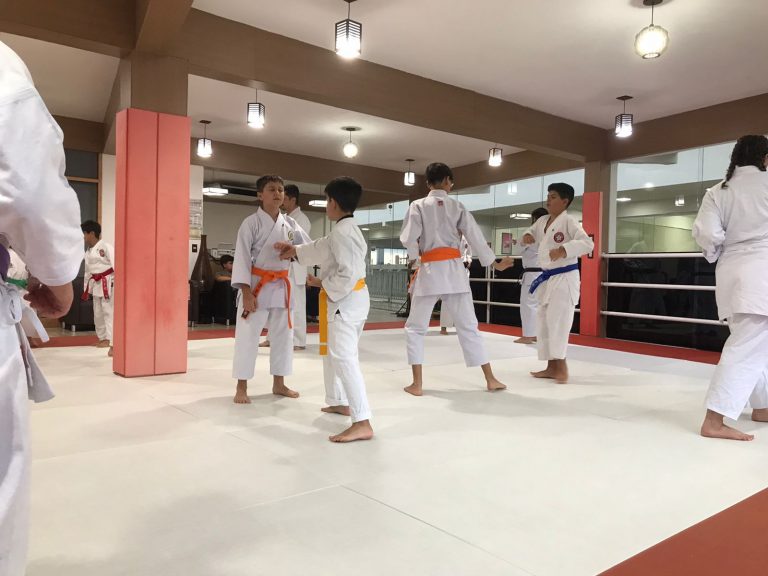 Aulas de Karate Shotokan - Sensei Francisco Santiago - Renbukan Brasil - Escola de artes Marciais Japonesas - Cotia - São Paulo - Defesa Pessoal - (31)