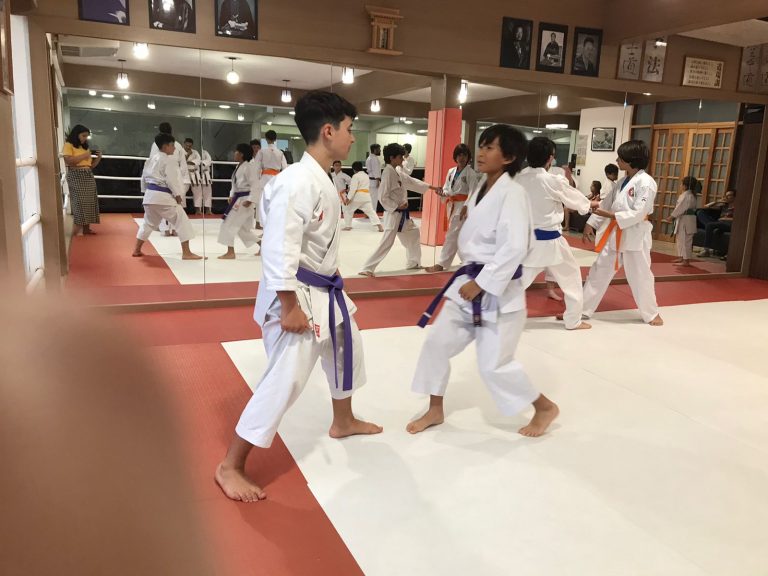 Aulas de Karate Shotokan - Sensei Francisco Santiago - Renbukan Brasil - Escola de artes Marciais Japonesas - Cotia - São Paulo - Defesa Pessoal - (38)