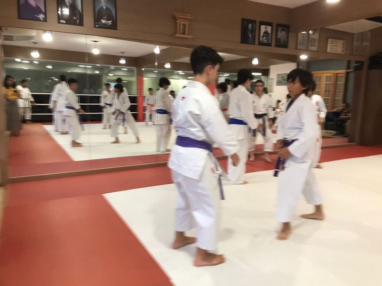 Aulas de Karate Shotokan - Sensei Francisco Santiago - Renbukan Brasil - Escola de artes Marciais Japonesas - Cotia - São Paulo - Defesa Pessoal - (39)