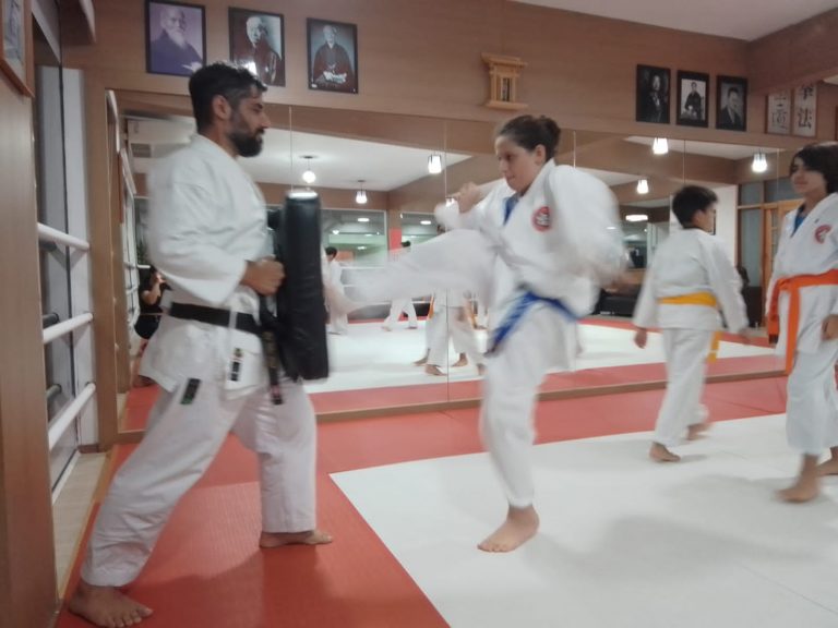 Aulas de Karate Shotokan - Sensei Francisco Santiago - Renbukan Brasil - Escola de artes Marciais Japonesas - Cotia - São Paulo - Defesa Pessoal - (4)