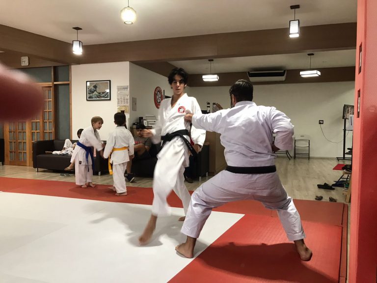 Aulas de Karate Shotokan - Sensei Francisco Santiago - Renbukan Brasil - Escola de artes Marciais Japonesas - Cotia - São Paulo - Defesa Pessoal - (42)