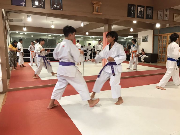 Aulas de Karate Shotokan - Sensei Francisco Santiago - Renbukan Brasil - Escola de artes Marciais Japonesas - Cotia - São Paulo - Defesa Pessoal - (48)